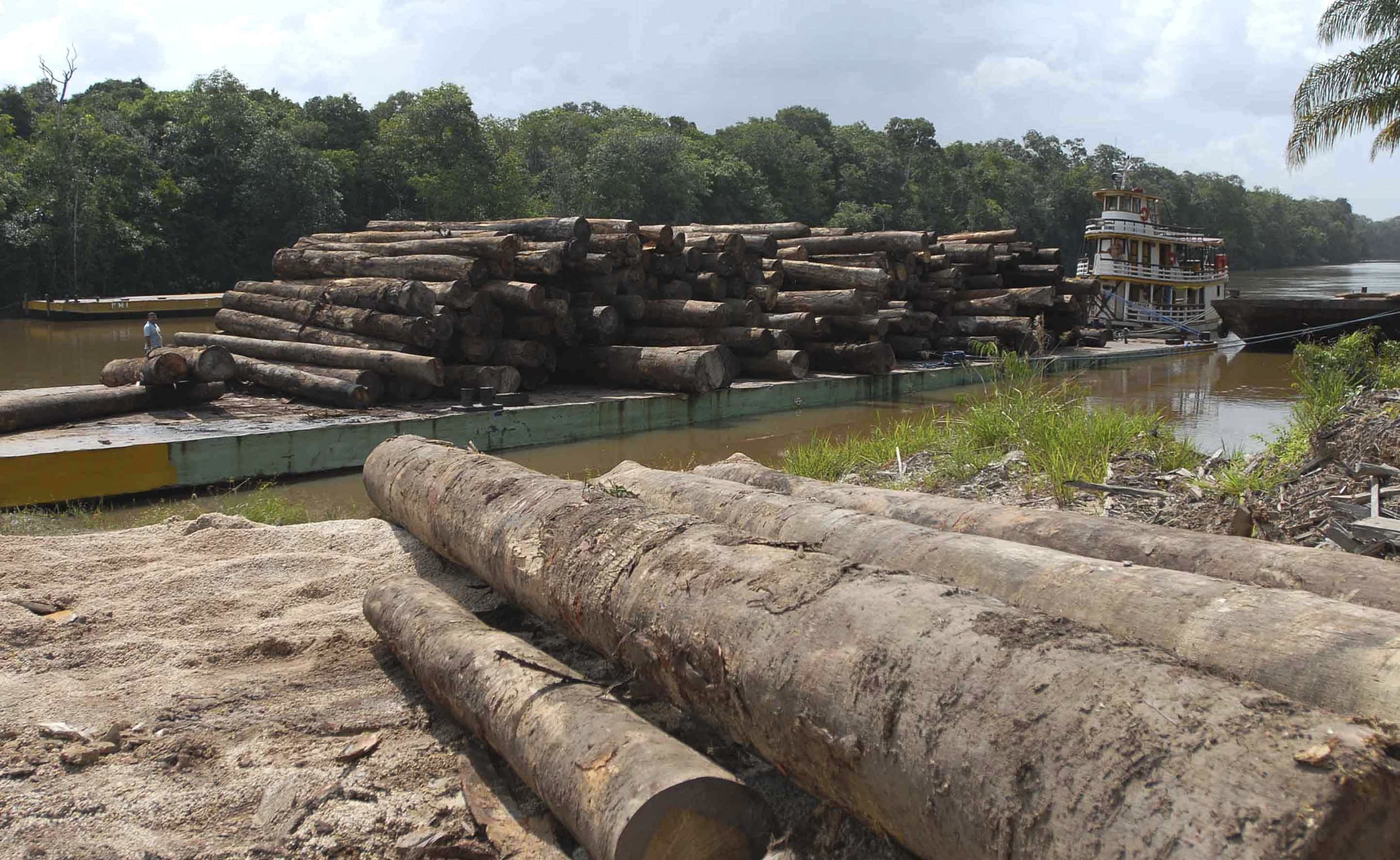 Desmatamento na Amazônia aumenta 358% em um ano | Imagem: Wilson Dias/ Agência Brasil
