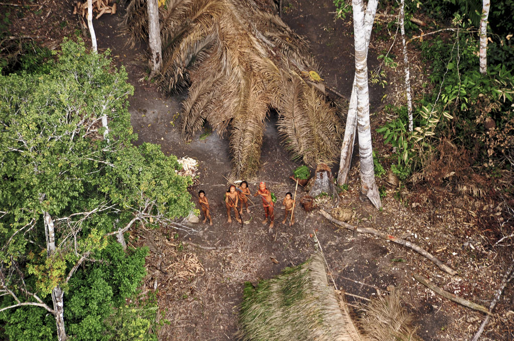 Isolados do Rio Envira, na Terra Indígena Kampa, município de Feijó, Acre | Imagem: Gleilson Miranda